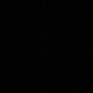 Meet your Posher, Winnie